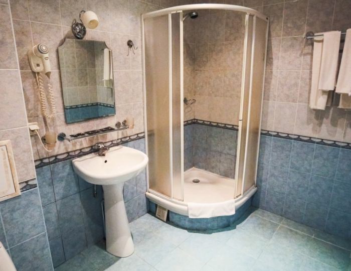 Стандарт - Отель Foresta Festival Park / Фореста Фестиваль Парк